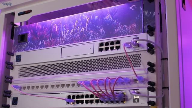 White Rack, Pink WAP & Multiple Pi's смотреть онлайн