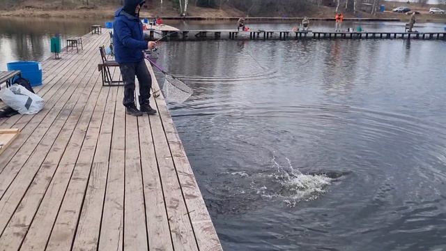 18-04-2025 смотреть онлайн