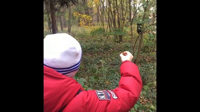 Наша прогулка. Владика птицы не боятся смотреть онлайн