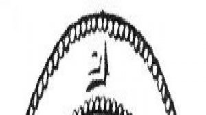 Рюриковичи