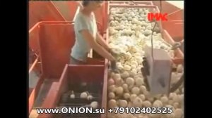 Лукоуборочный комбайн Imac, машина для уборки лука Onion Su