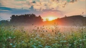 Моя милая родина