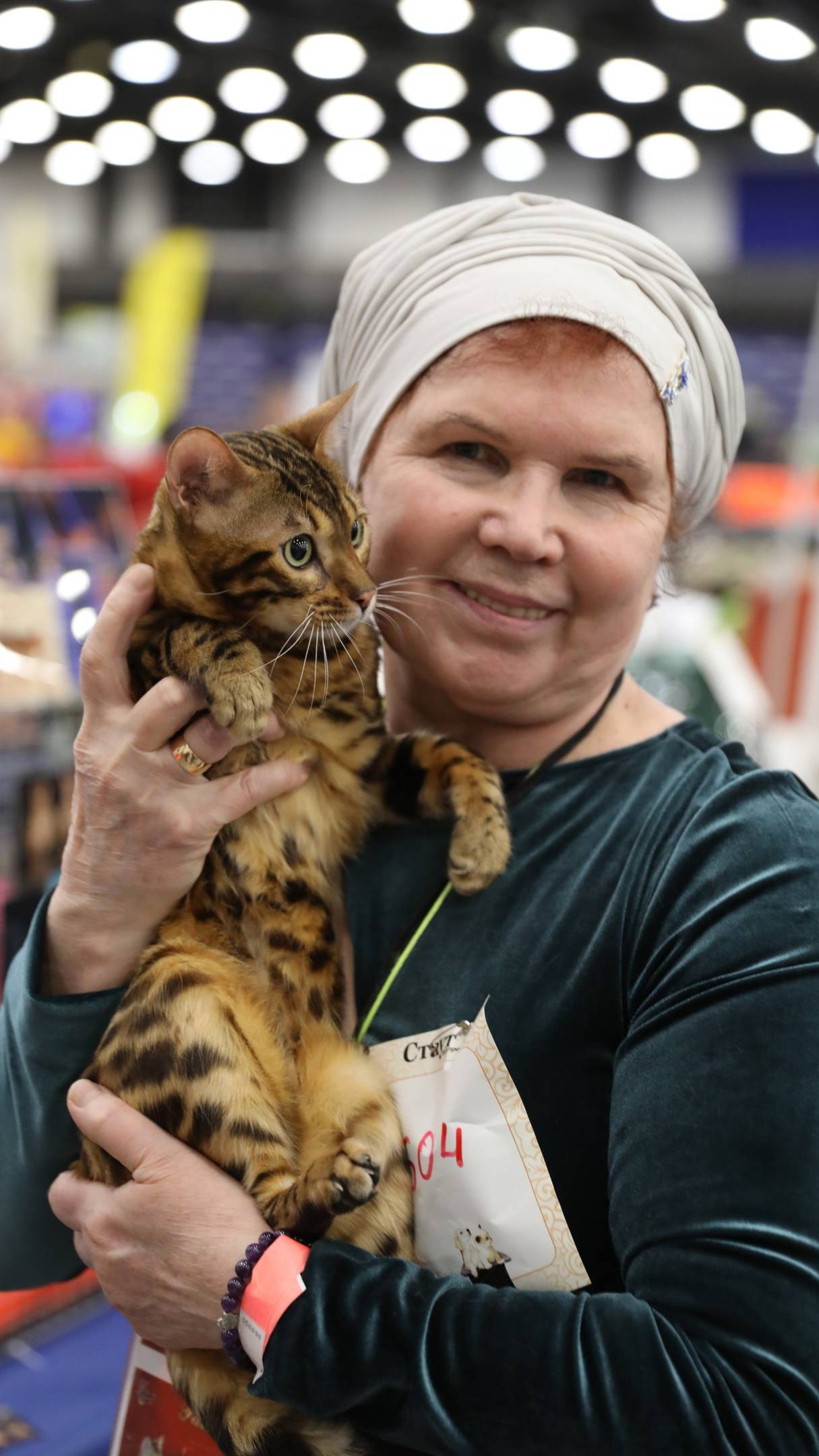 174495348438 бенгальские котята бенгальские кошки  бенгал