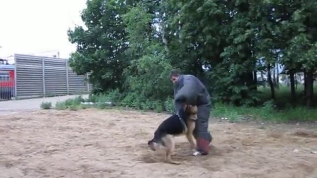 2.ШАРП ТИС фон ЛОРДЕН ХИУС (Гром) 10 мес смотреть онлайн