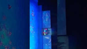 Водное шоу Марии Киселёвой "Русалочка".