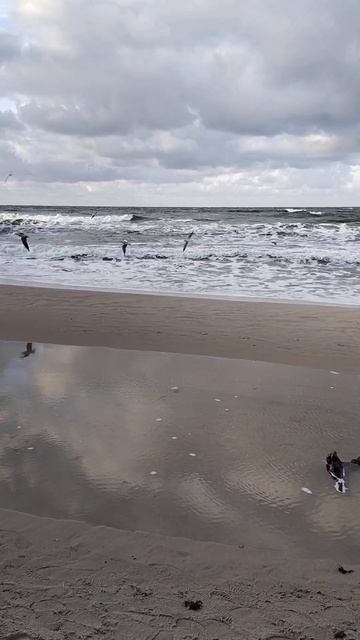 Балтийское море, Светлогорск. смотреть онлайн