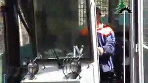 Валочно пакетирующая машина ЛП-19