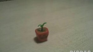 Ромашка  (пластилиновый мультик )