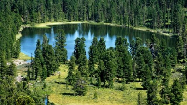 ЗВУКИ ПЕНИЕ ПТИЦ И ЛИВНЯ. ПРИРОДА смотреть онлайн