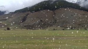 ЛЮБИМЫЙ😍💕 КАВКАЗ