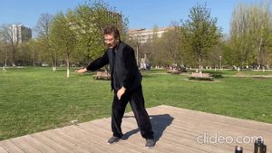 #Боевой_Бадуандзинь для начинающих стиля "Орлан и барс"=