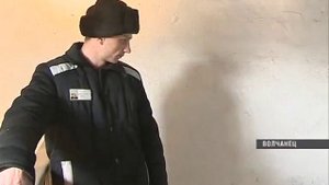 Заключенные колонии в поселке Волчанец занялись свиноводством