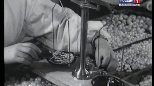 06 05 Jantarniy pamjatnik Kovaleva M смотреть онлайн