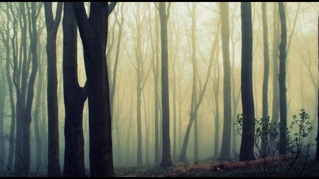 Richard Wagner – Entry Of The Gods Into Valhalla (Das Rheingold)