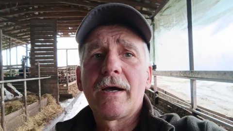 Про козлятник..