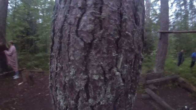 1 отряд "Run or Die" смотреть онлайн