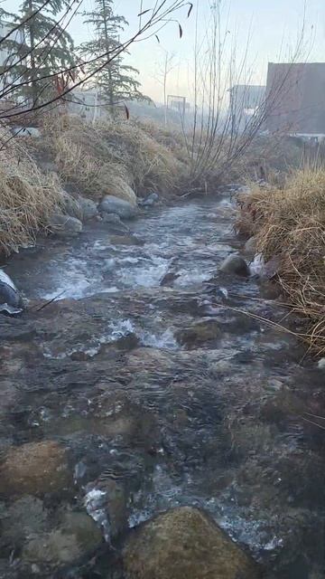 с. Кашка-Суу. Горная река Ала-Арча. смотреть онлайн