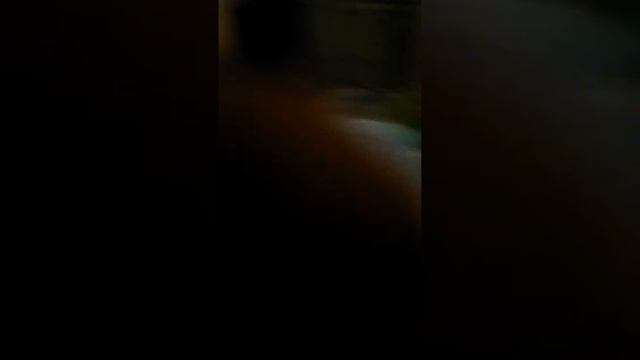 Ebony scat running around