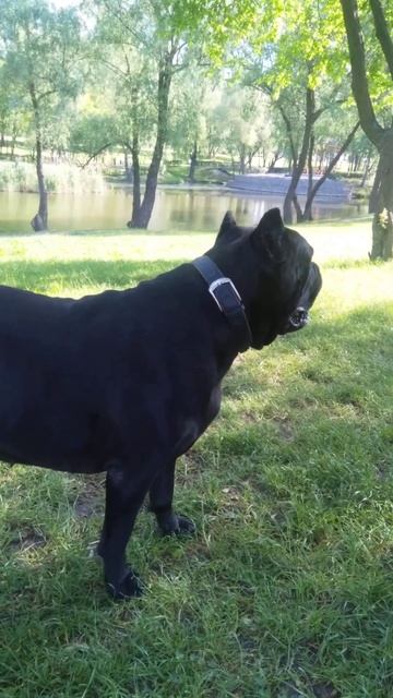 Parakord 3 смотреть онлайн