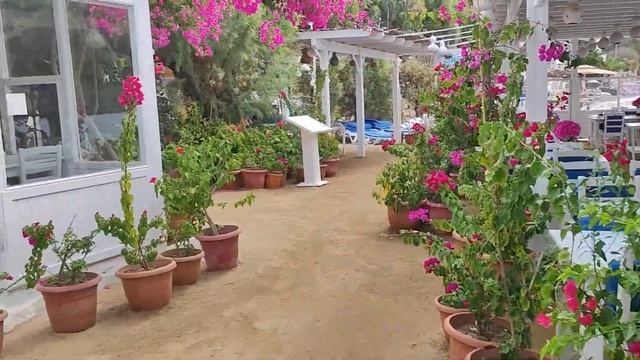 Турция Бодрум что посмотреть и куда сходить смотреть онлайн