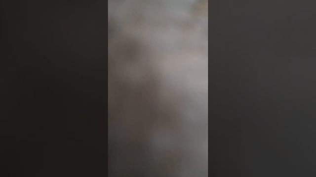 жүн жуу(5) смотреть онлайн