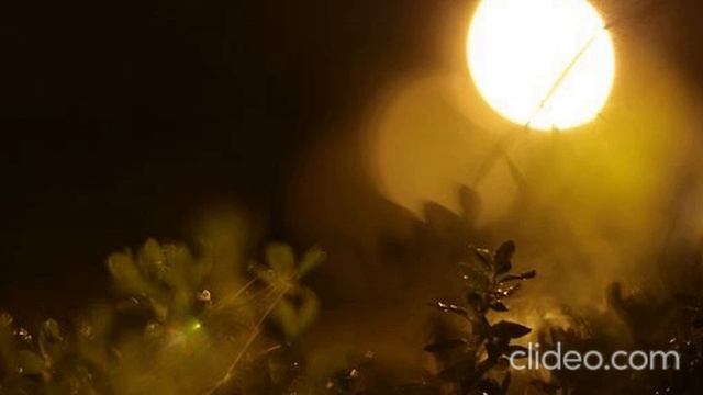 музыка космоса