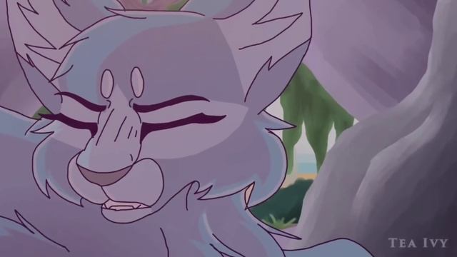 AMV Граф Орлов - Есть у тебя одна ночь | Коты-Воители смотреть онлайн