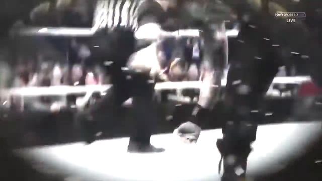 Черепашки ниндзя wwe смотреть онлайн