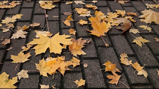 "ОСЕНЬ -КЛИН УЛЕТАЮЩИХ ДУШ" (ПОЁТ В.ТРЕТЬЯКОВ) смотреть онлайн