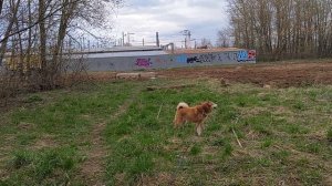 Добрый вечер страстной пятницы.