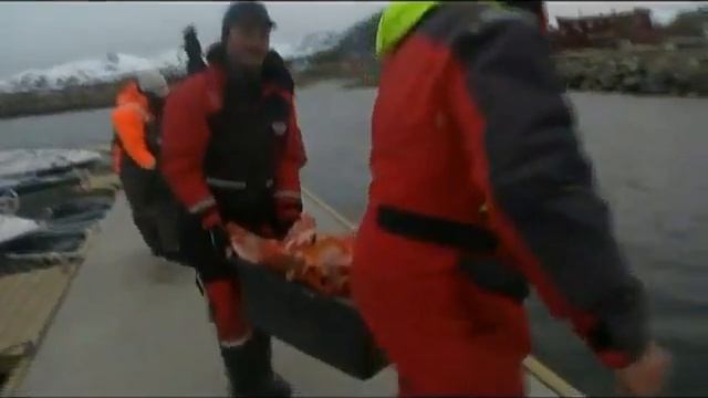 На рыбалке 12 июня 2012 г смотреть онлайн