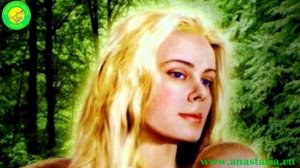 Новогоднее обращение Владимира Мегре