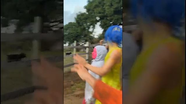 ✅ COMEÇOU O RANCHO DO MAIA смотреть онлайн