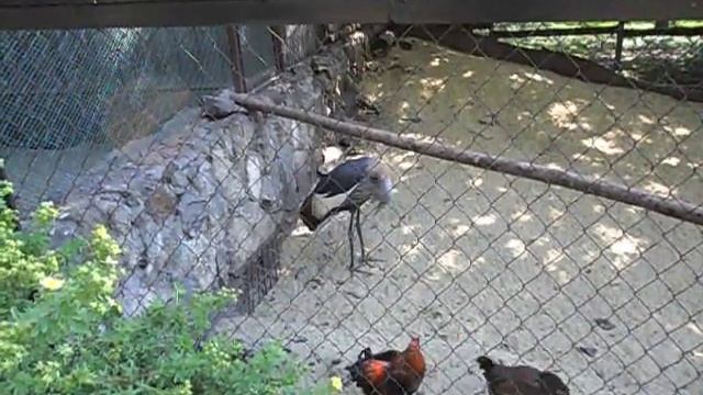 30 августа 2019 г. смотреть онлайн