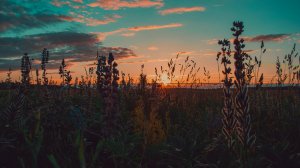 Vocal Trance Mix | Time Of Our Lifes | Flopi Music Mix |
