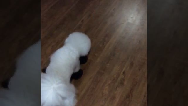 22 октября 2018 г. смотреть онлайн