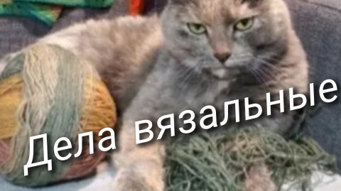 Дела вязальные 🧶Есть готовые работы🧶