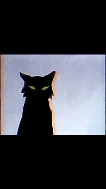 THE LAST FILE WARRIOR CATS