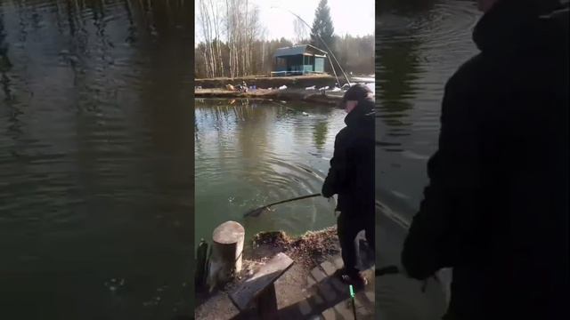 поимки форели