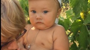 Гарнизон. Бассейн. Сын купается, мама загорает. У бабушке Люды в огороде.