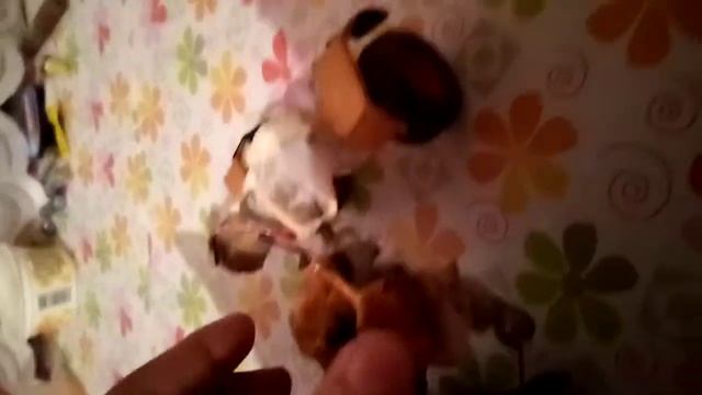 Тюнинг к-700 смотреть онлайн