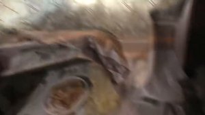 Завтрак витаминный и почти бесплатно.  08. 05. 2021