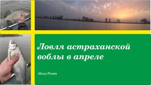Рыбалка в Астрахани! Астраханская вобла на донку в апреле
