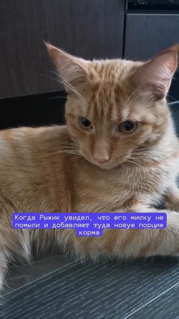 Порядок должен быть во всем