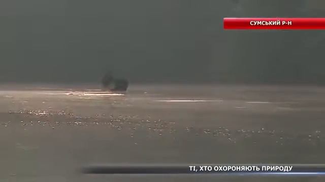 Ті, хто охороняють природу