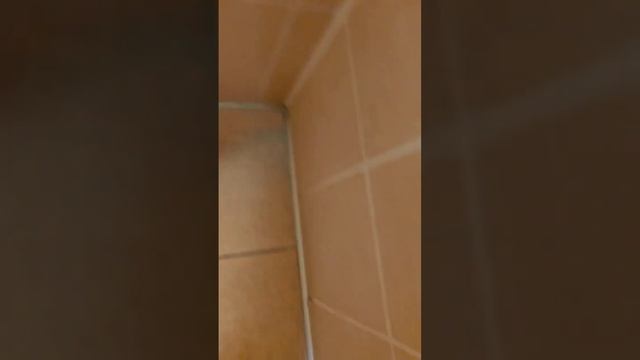 Квартира тут компания! улица П.И. Смородина, 9А 12 подъезд 10 этаж смотреть онлайн