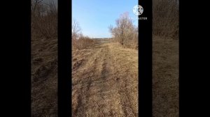 Назарово. 
13.04.2025
Сельмашевское озеро.