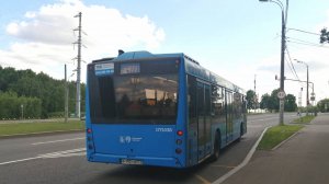 Предновогодняя поездка на автобусе мАз 203.069 №845 (26.12.2023)