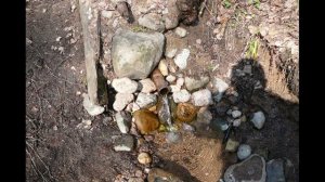 За родниковой водой