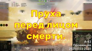 Пруха перед лицом смерти. А-43. Провинция. 20250323 2323.